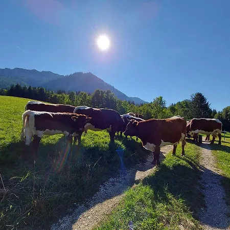 Haus Annerl Guest house Grundlsee