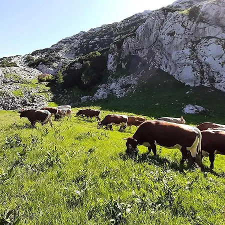 Haus Annerl Πανσιόν Grundlsee