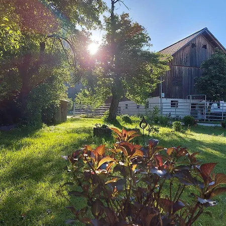Haus Annerl Guest house