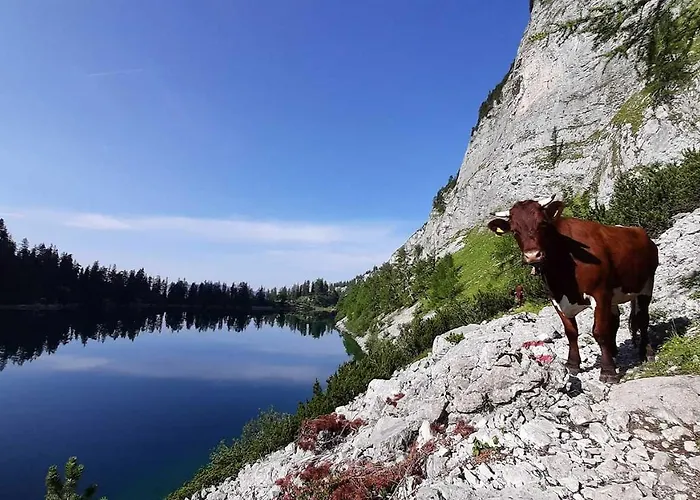 Guest house Haus Annerl *