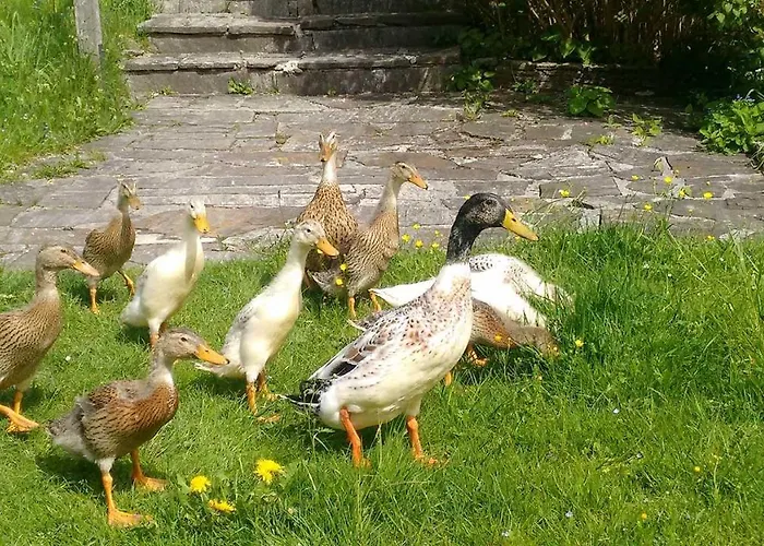 Гостевой дом Haus Annerl