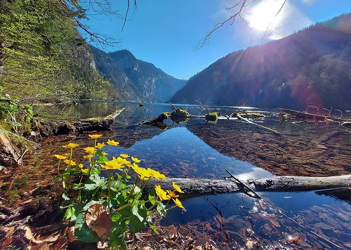 Гостевой дом Haus Annerl *