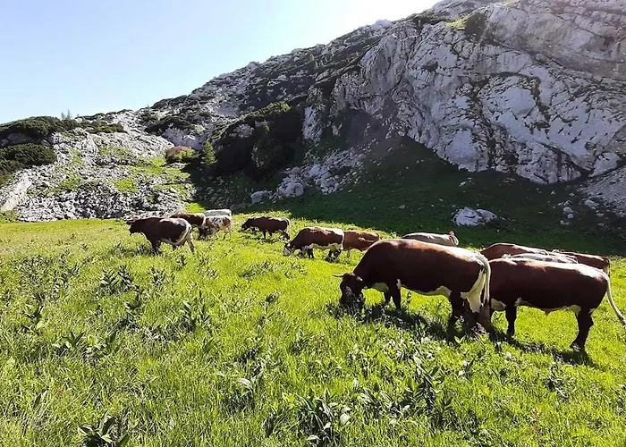 Haus Annerl Гостевой дом Грундльзее
