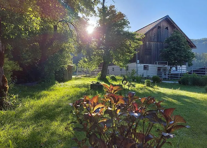 Haus Annerl Guest house