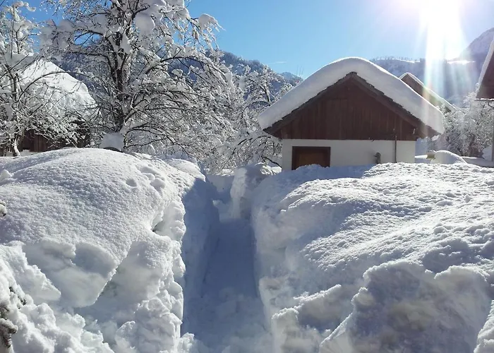 Guest house Haus Annerl *